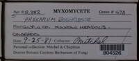 Image Associated With the Occurence